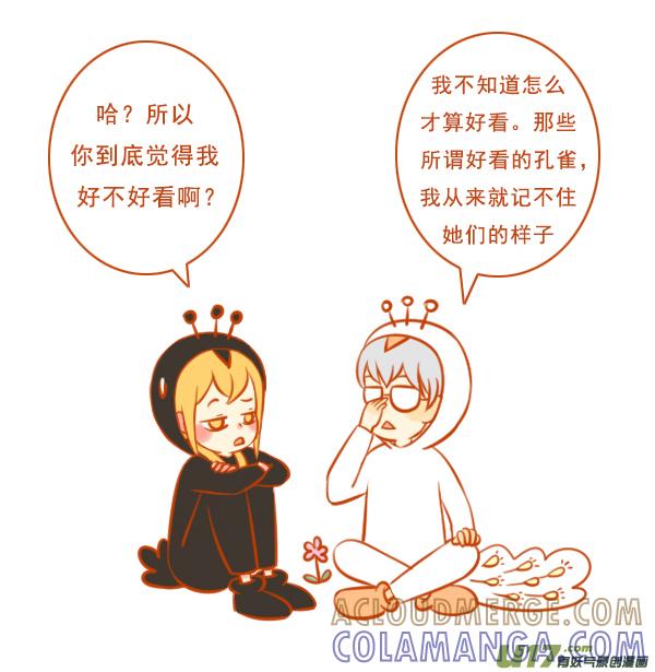 黑孔雀-全世界都在谈恋爱-二囬（第3张）