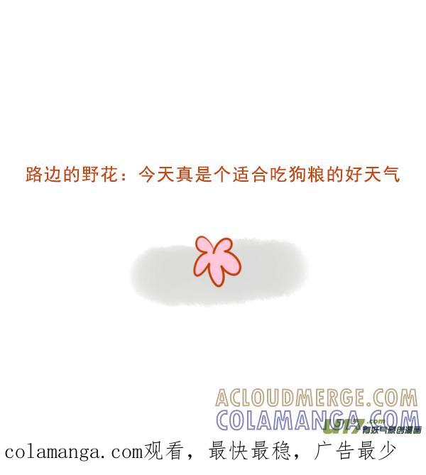 黑孔雀-全世界都在谈恋爱-二囬（第6张）