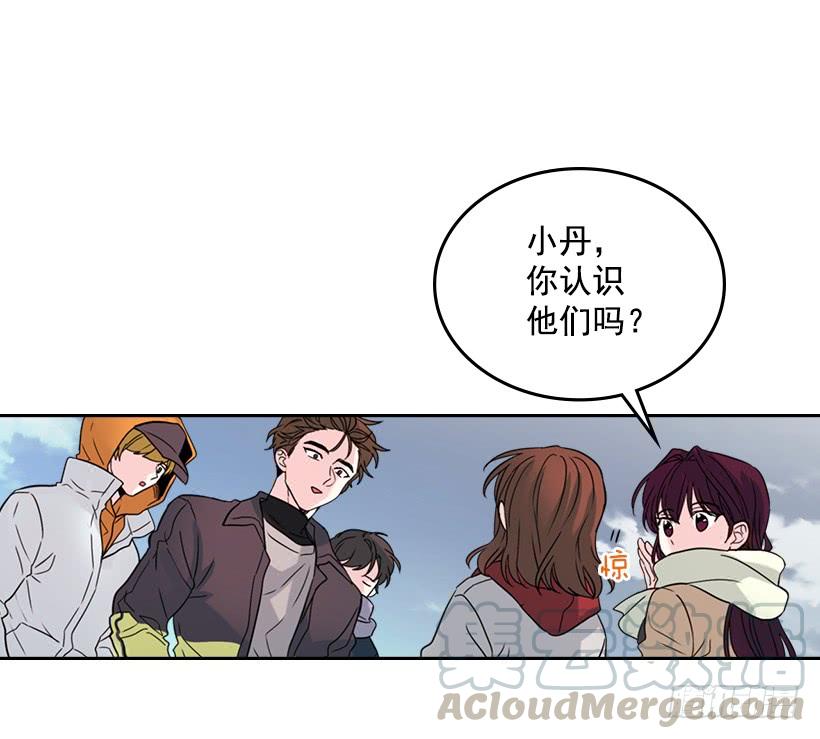 13.谁敢欺负我的小丹！-网络小说的法则-DNCWEBTOONBiz（第6张）