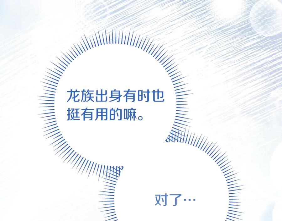 127.jpg