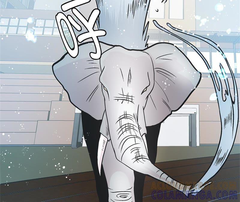 第90话你这只笨狗！-奇妙的动物高中-一漫文化（第28张）