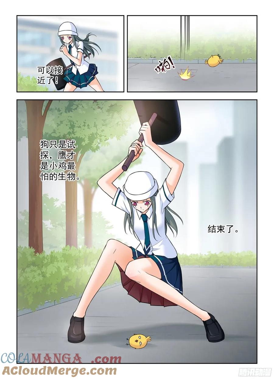 9.jpg