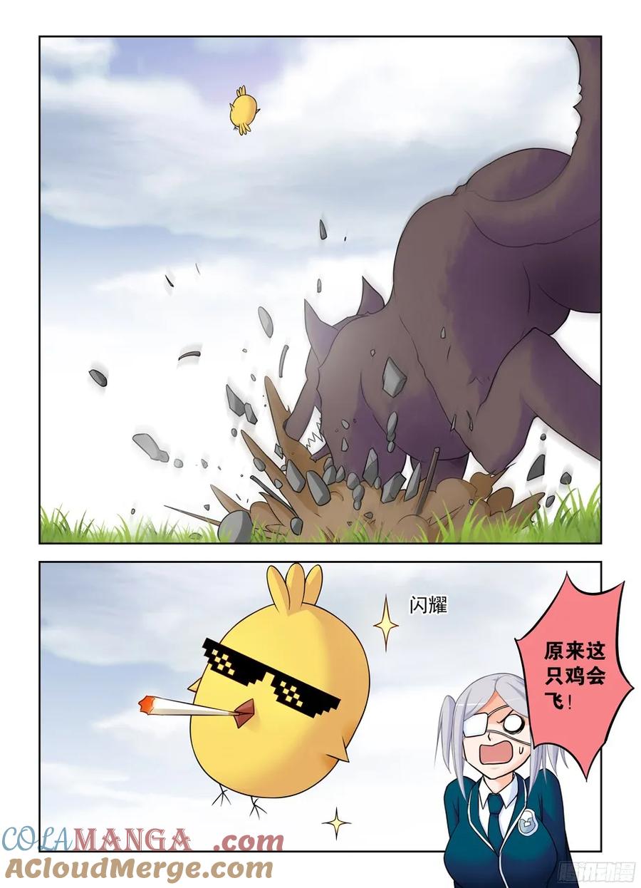 5.jpg