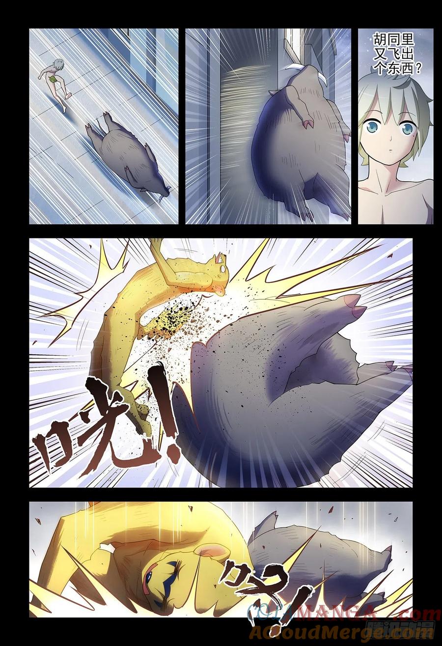 21.jpg