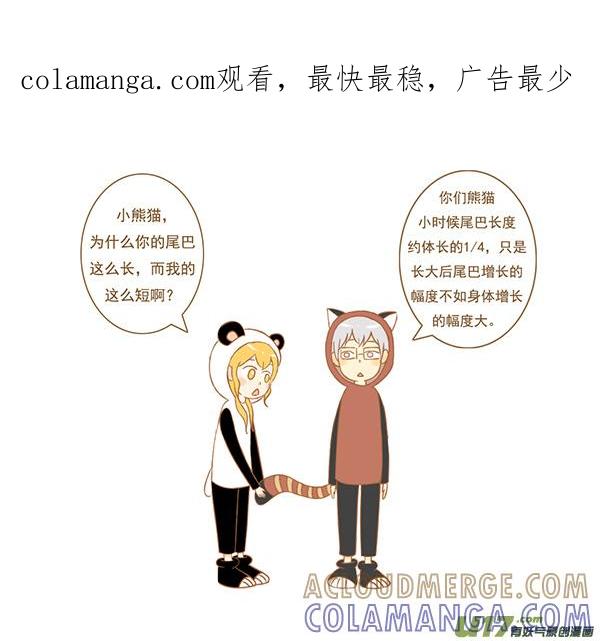 小熊猫-全世界都在谈恋爱-二囬（第1张）