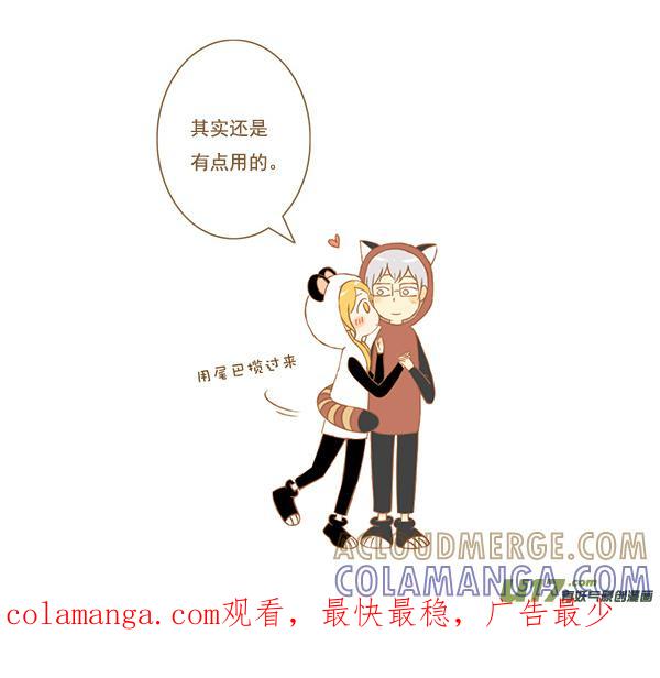 小熊猫-全世界都在谈恋爱-二囬（第4张）