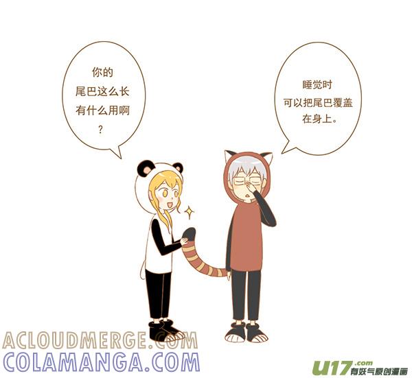 小熊猫-全世界都在谈恋爱-二囬（第2张）