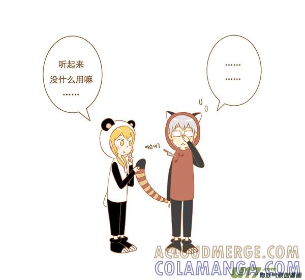 小熊猫-全世界都在谈恋爱-二囬（第3张）