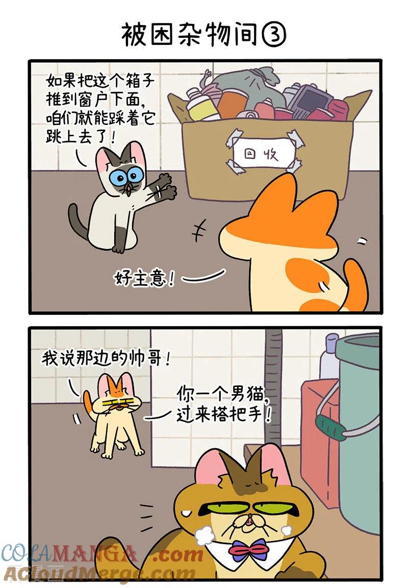 第70话1被困杂物间-阿满和麦茶-新漫画 日胖大海寺（第4张）