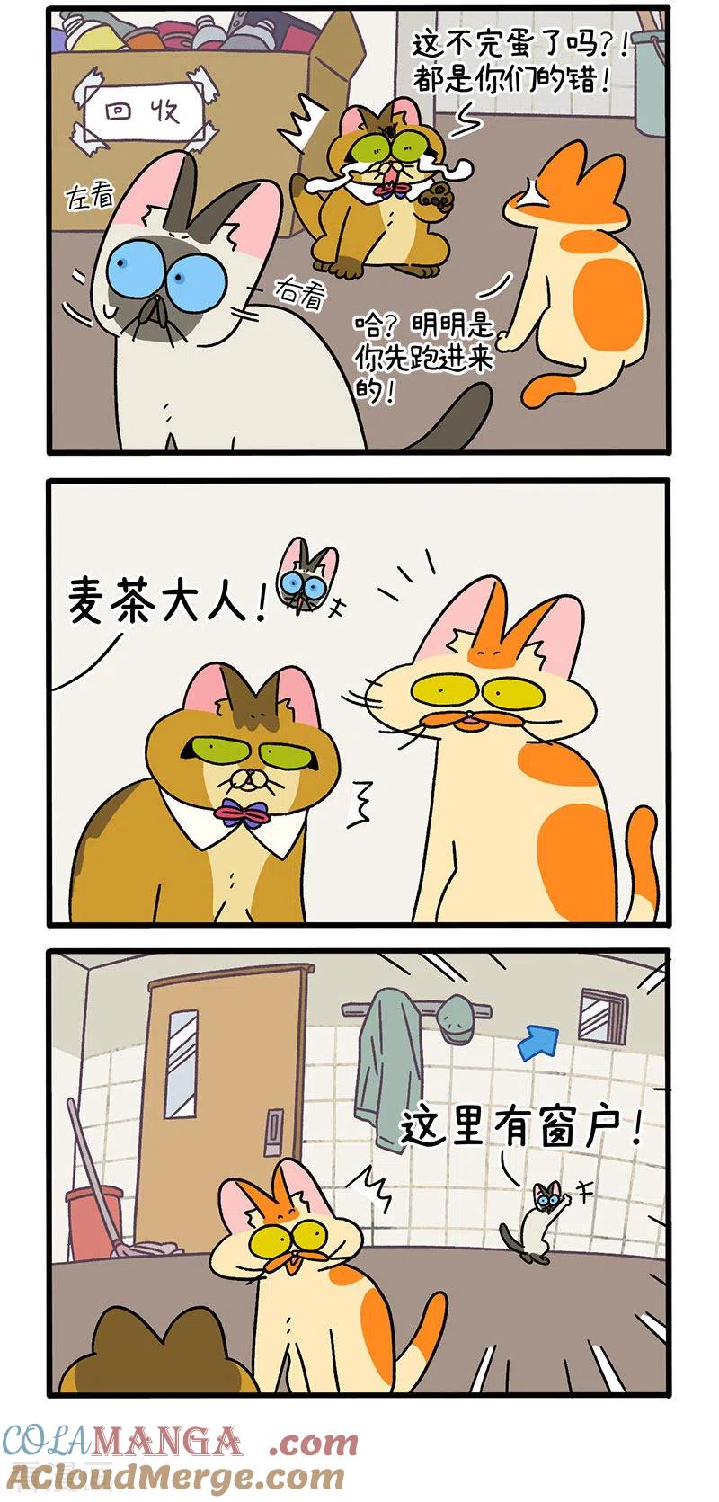 第70话1被困杂物间-阿满和麦茶-新漫画 日胖大海寺（第2张）