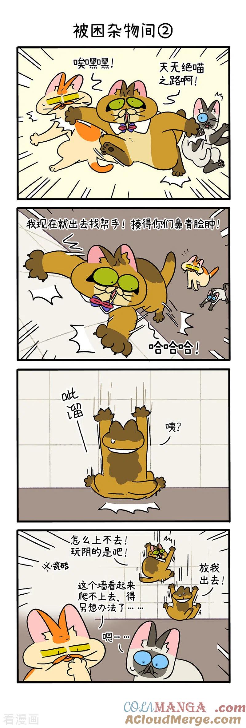 第70话1被困杂物间-阿满和麦茶-新漫画 日胖大海寺（第3张）