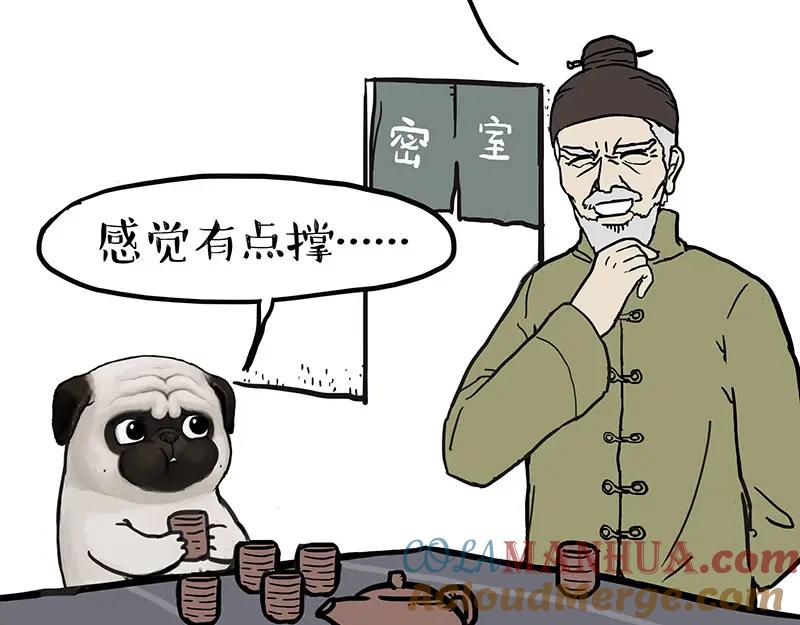31.jpg