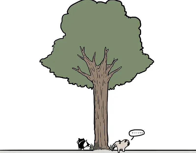 35.jpg