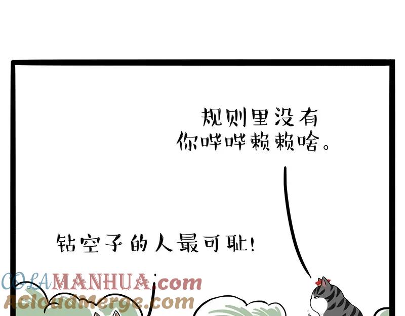 28.jpg