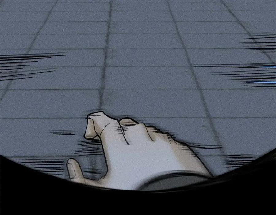 78.jpg