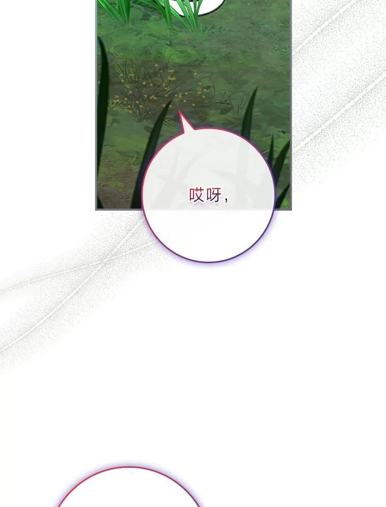 78.jpg