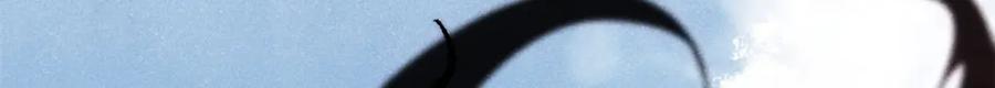 136.jpg
