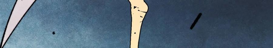 144.jpg