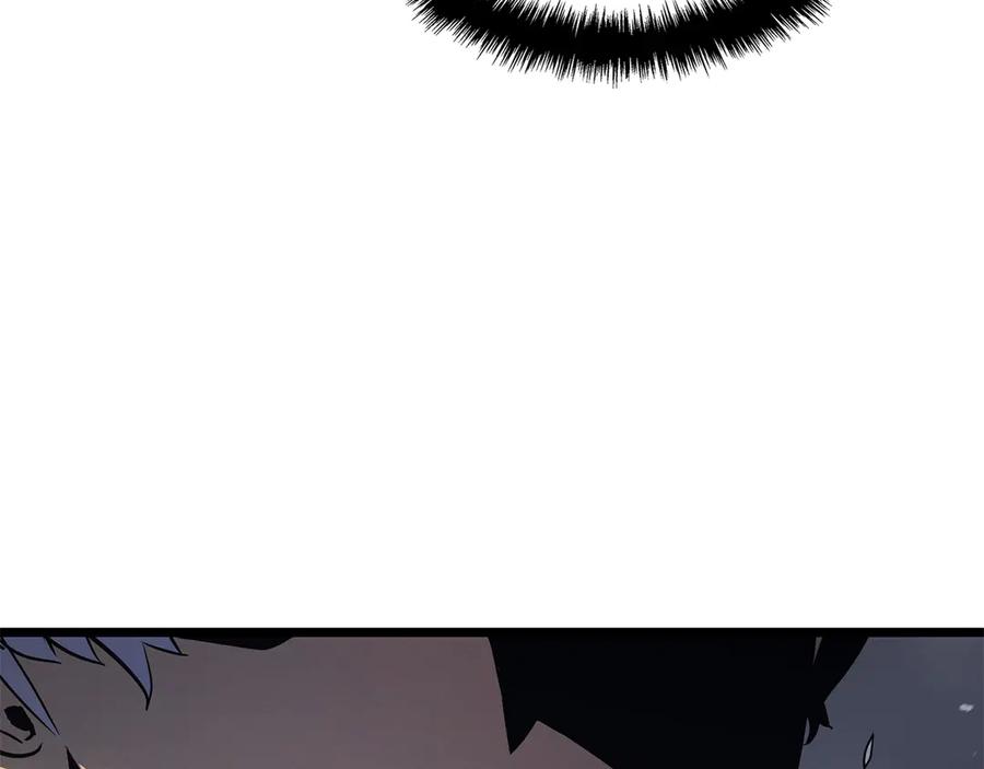 232.jpg