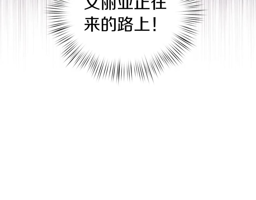 146.jpg