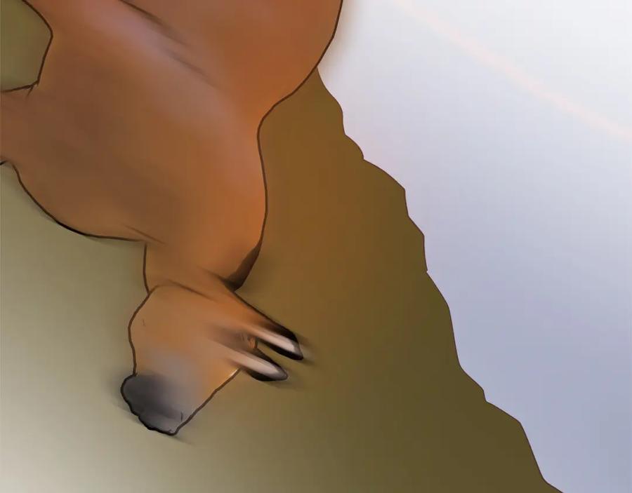 110.jpg