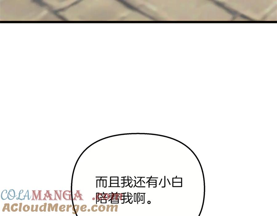 133.jpg