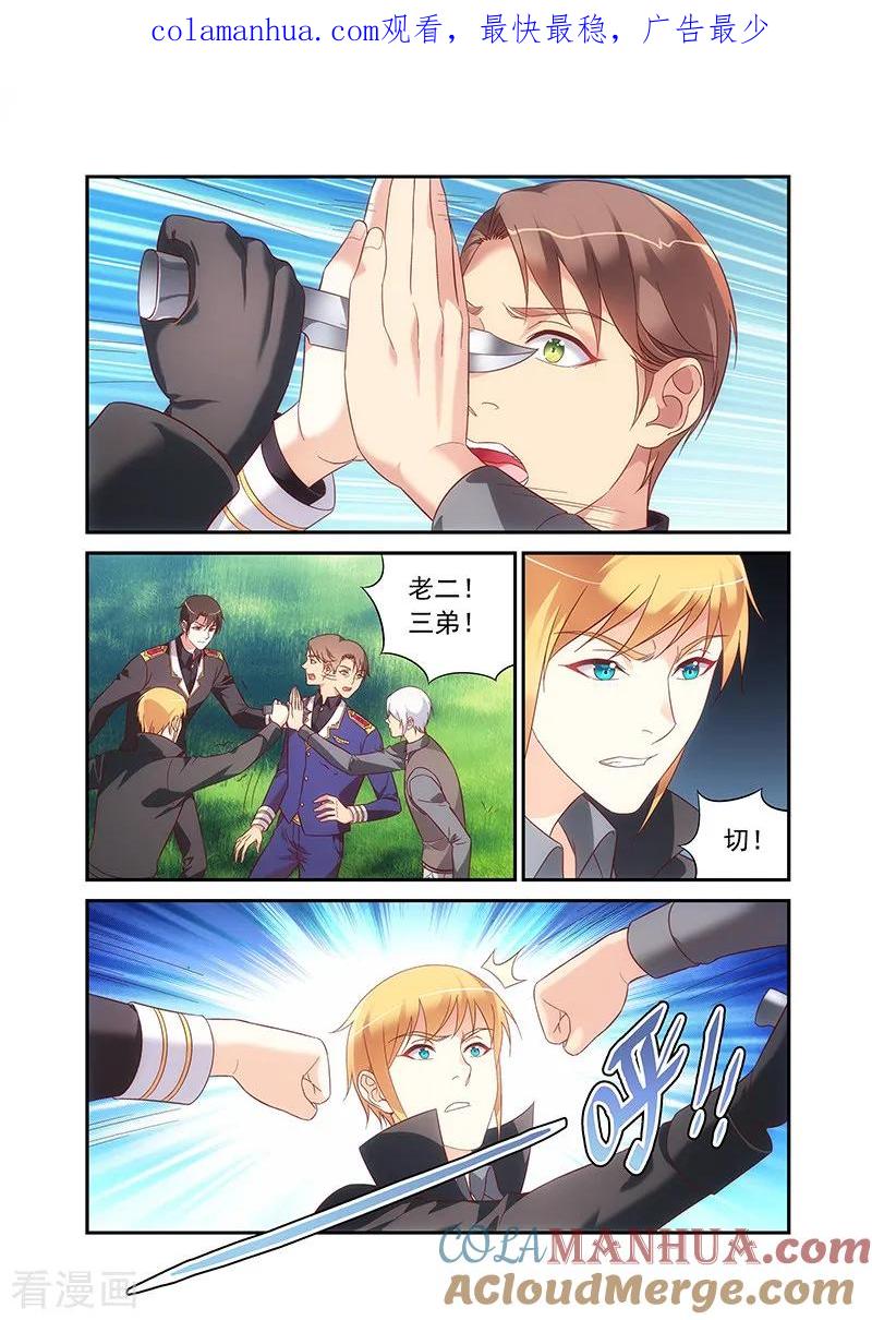 1.jpg