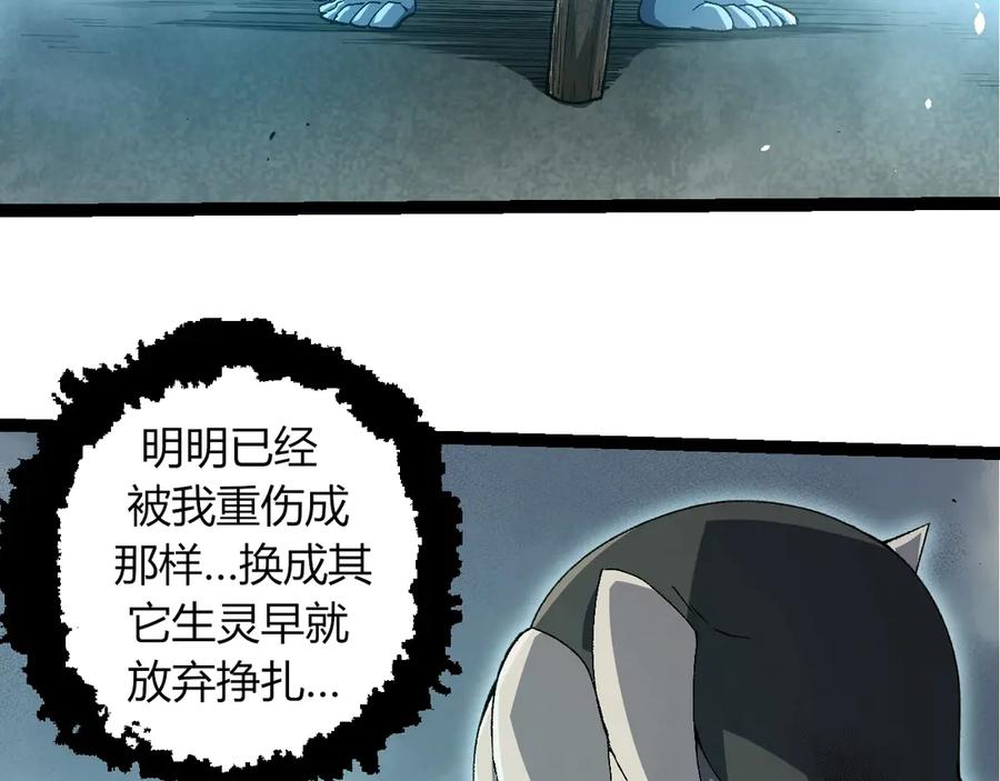 68.jpg