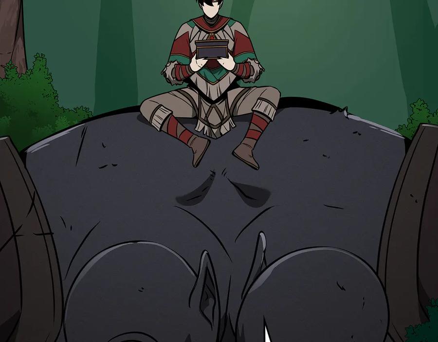 243.jpg