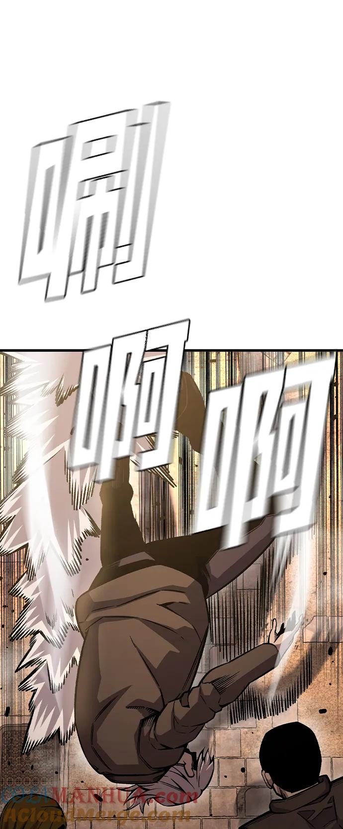 113.jpg