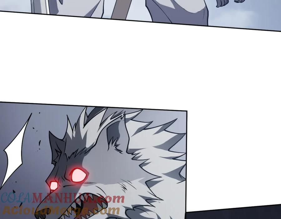 113.jpg