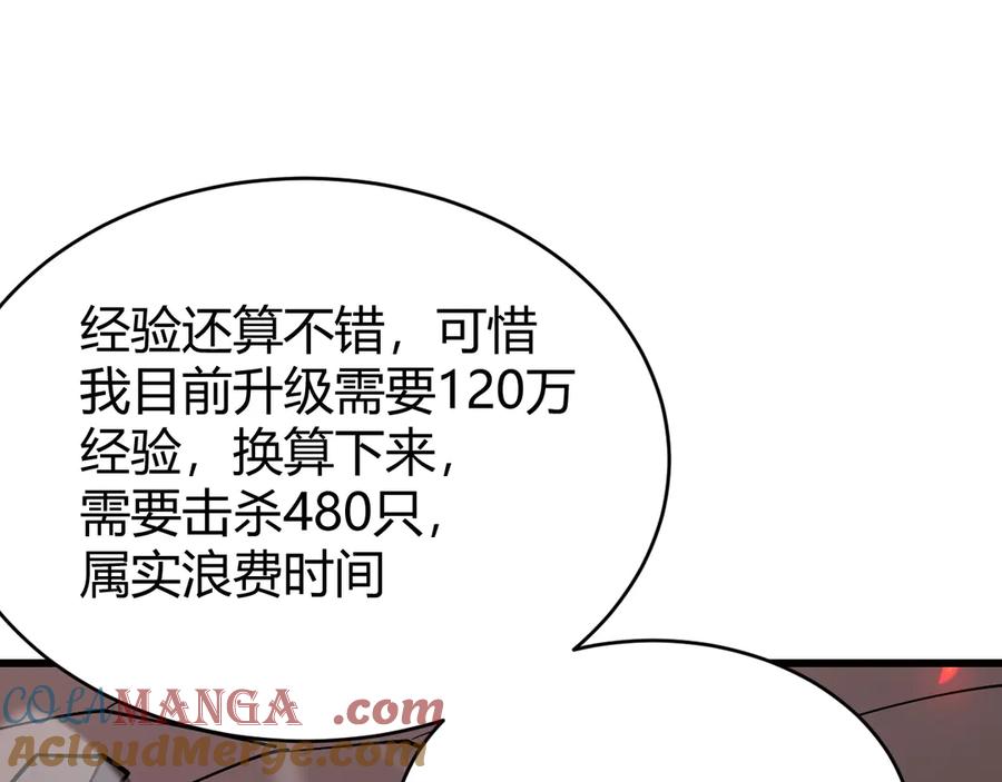 137.jpg