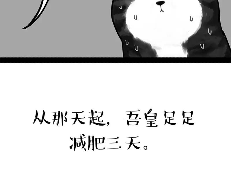 51.jpg