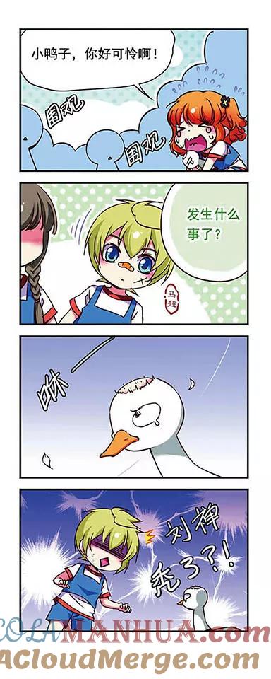 11.jpg