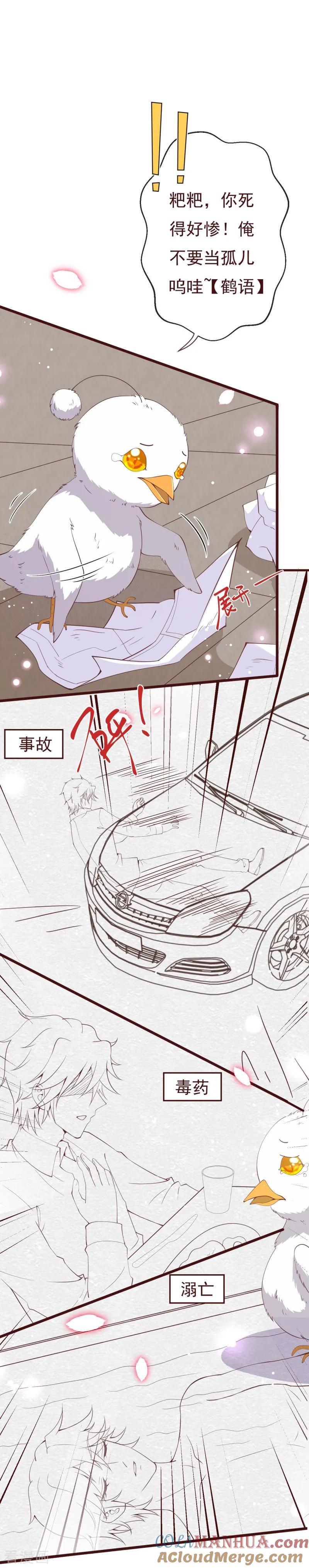 第2季95话有你真好-纯真总裁宠萌妻-二次元动漫（第6张）