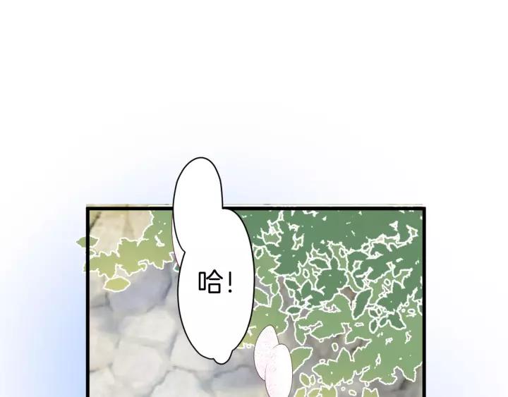 78.jpg