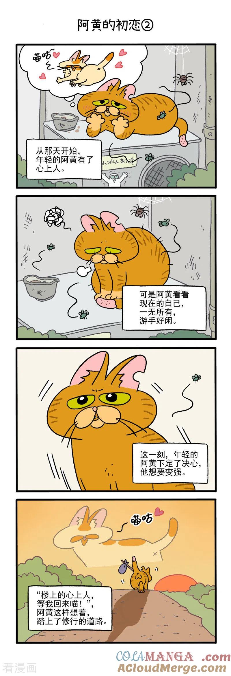 番外1阿黄的初恋-阿满和麦茶-新漫画 日胖大海寺（第3张）