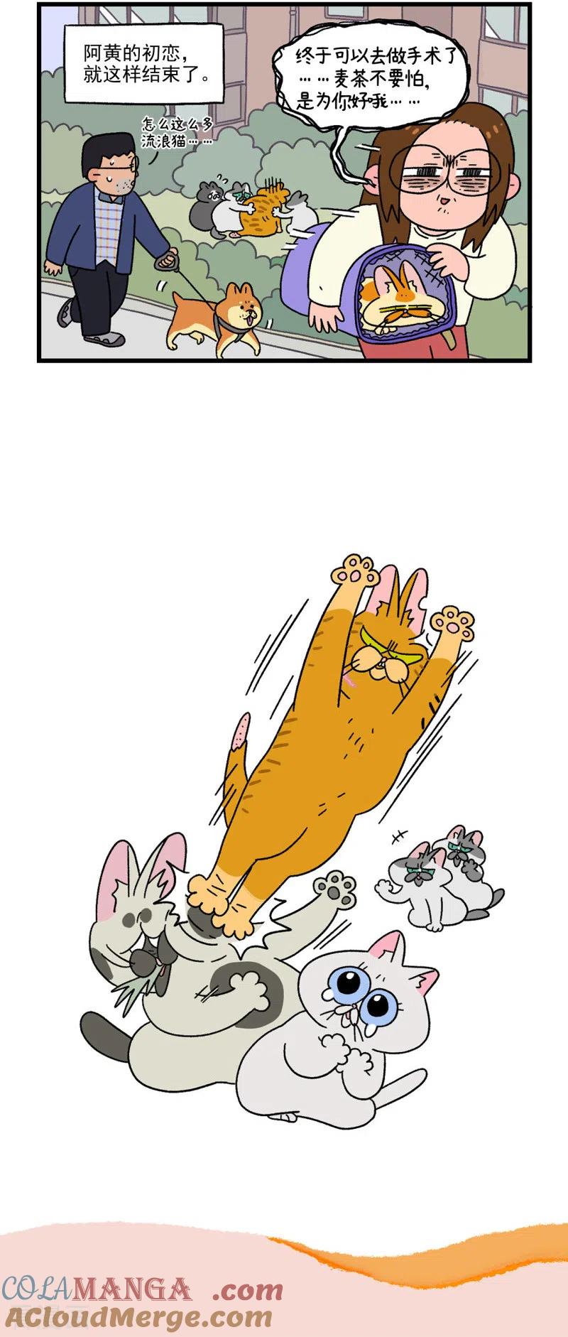 番外1阿黄的初恋-阿满和麦茶-新漫画 日胖大海寺（第5张）