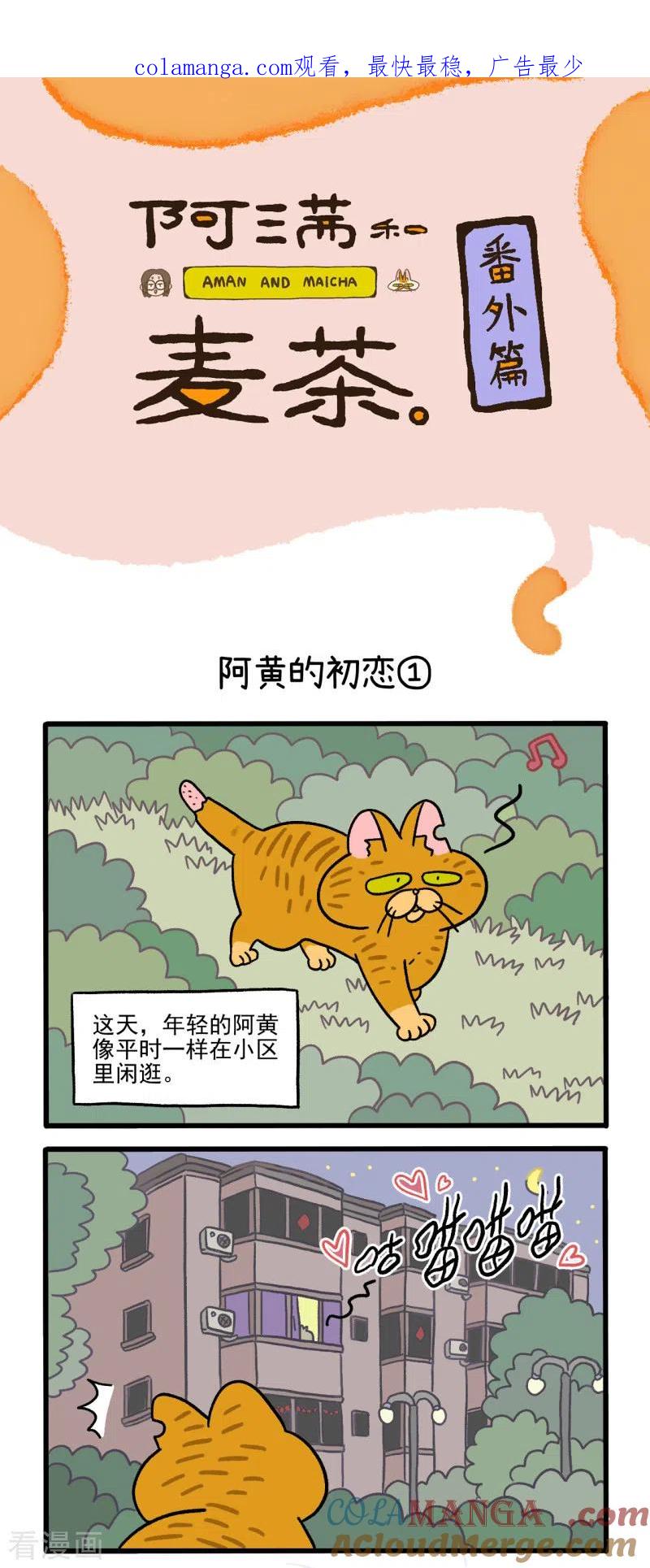 番外1阿黄的初恋-阿满和麦茶-新漫画 日胖大海寺（第1张）