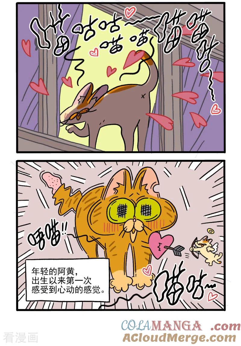 番外1阿黄的初恋-阿满和麦茶-新漫画 日胖大海寺（第2张）