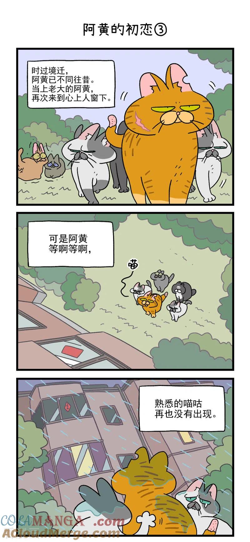 番外1阿黄的初恋-阿满和麦茶-新漫画 日胖大海寺（第4张）