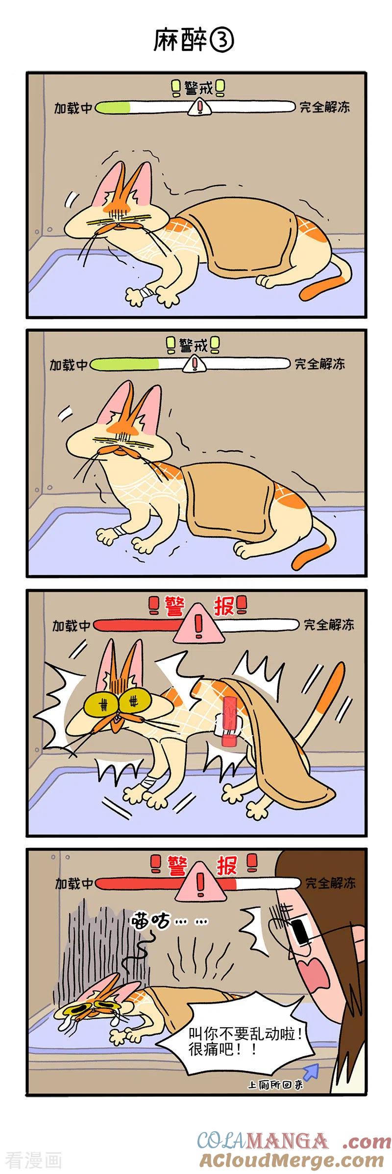 第17话麻醉-阿满和麦茶-新漫画 日胖大海寺（第4张）