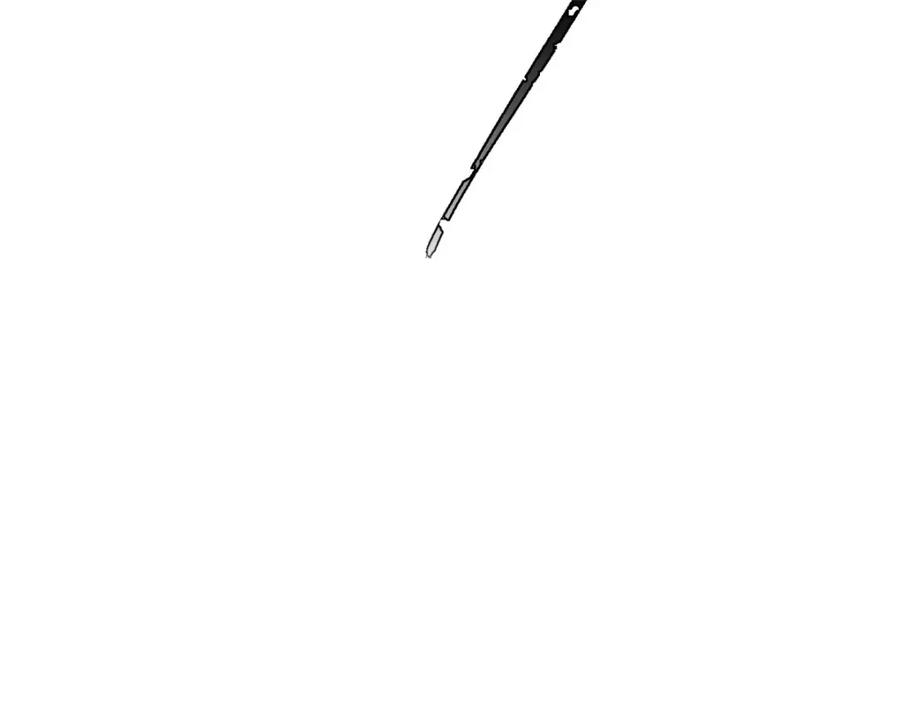 65.jpg
