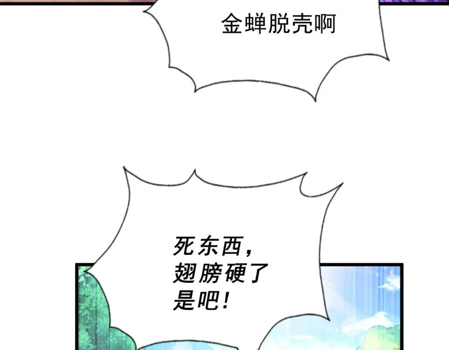 91.jpg