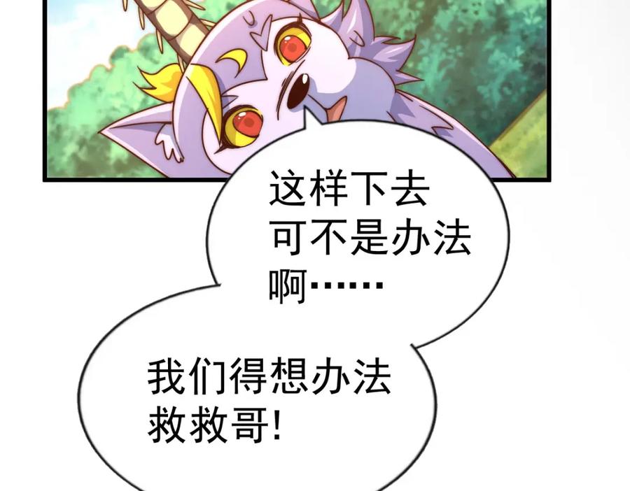 78.jpg
