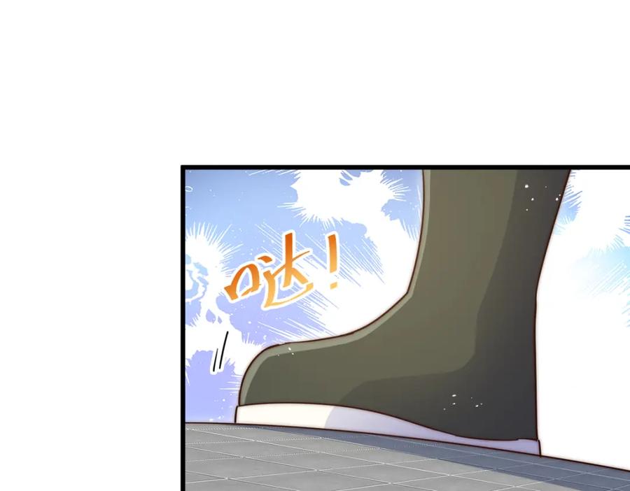 223.jpg