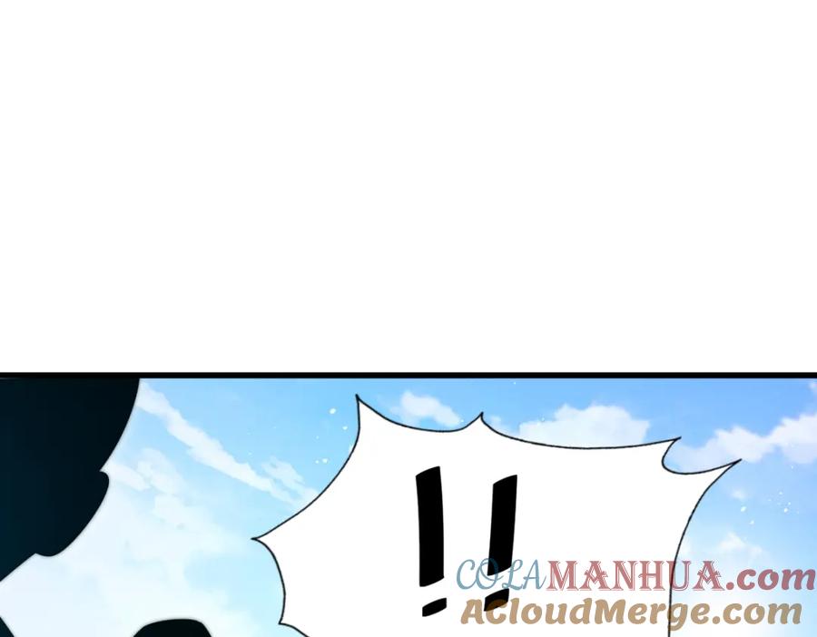 233.jpg