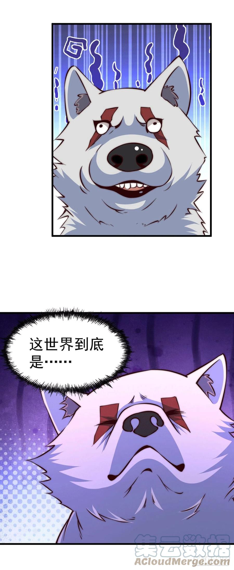 61.jpg