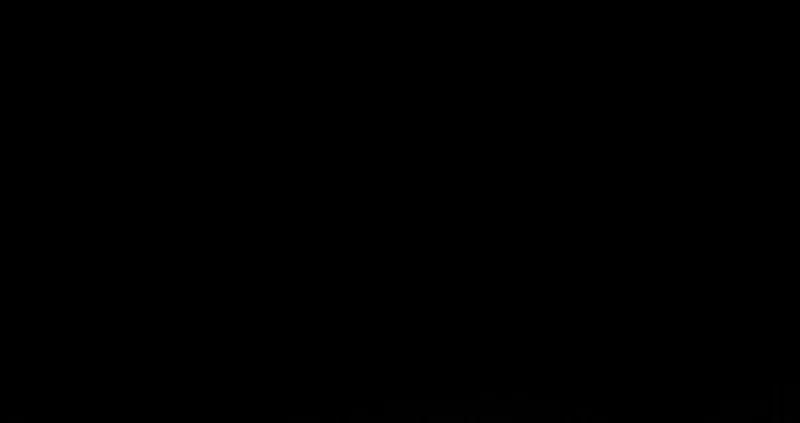 113.jpg
