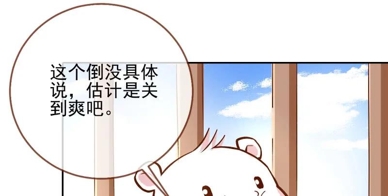 117.jpg